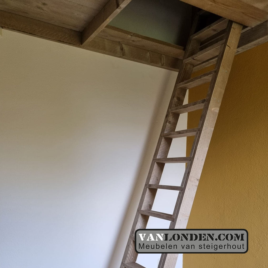 Steigerhouten vide Reinier