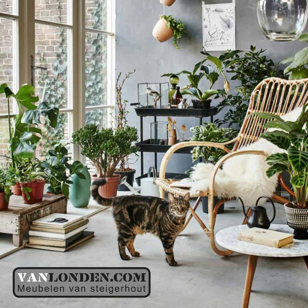 Schapenvacht groot, Jean