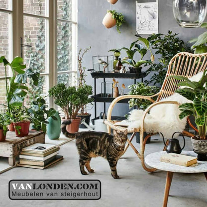 Schapenvacht groot, Jean