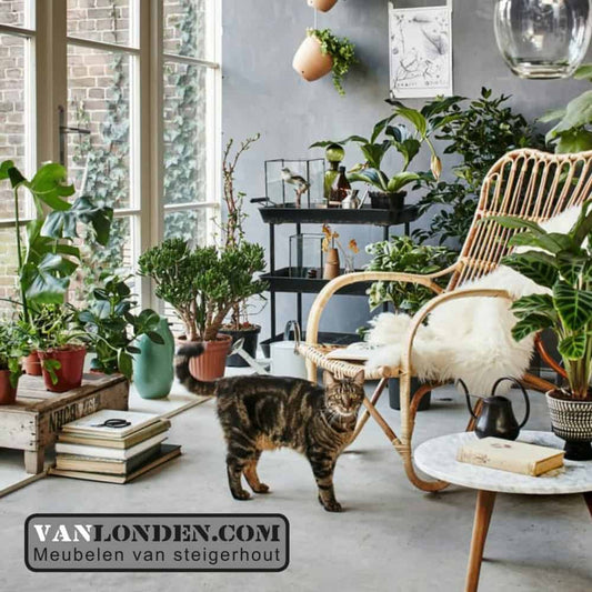 Schapenvacht groot, Jean
