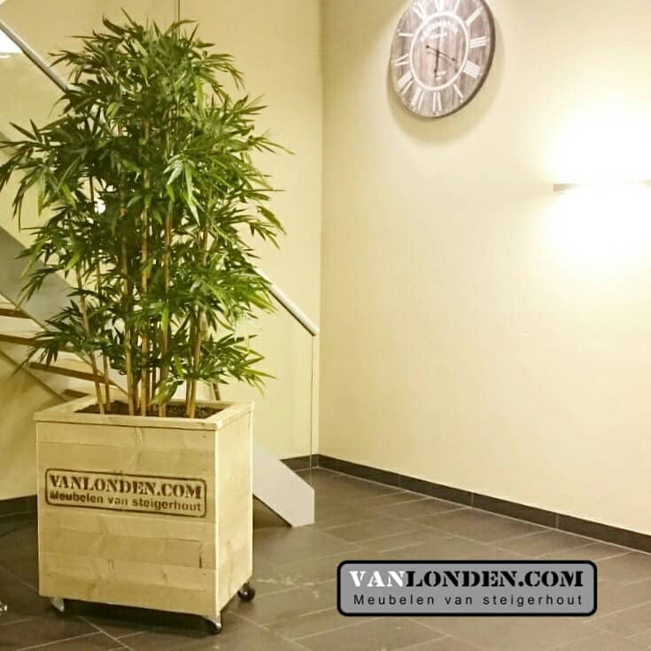 Steigerhouten bloembak / plantenbak Leon